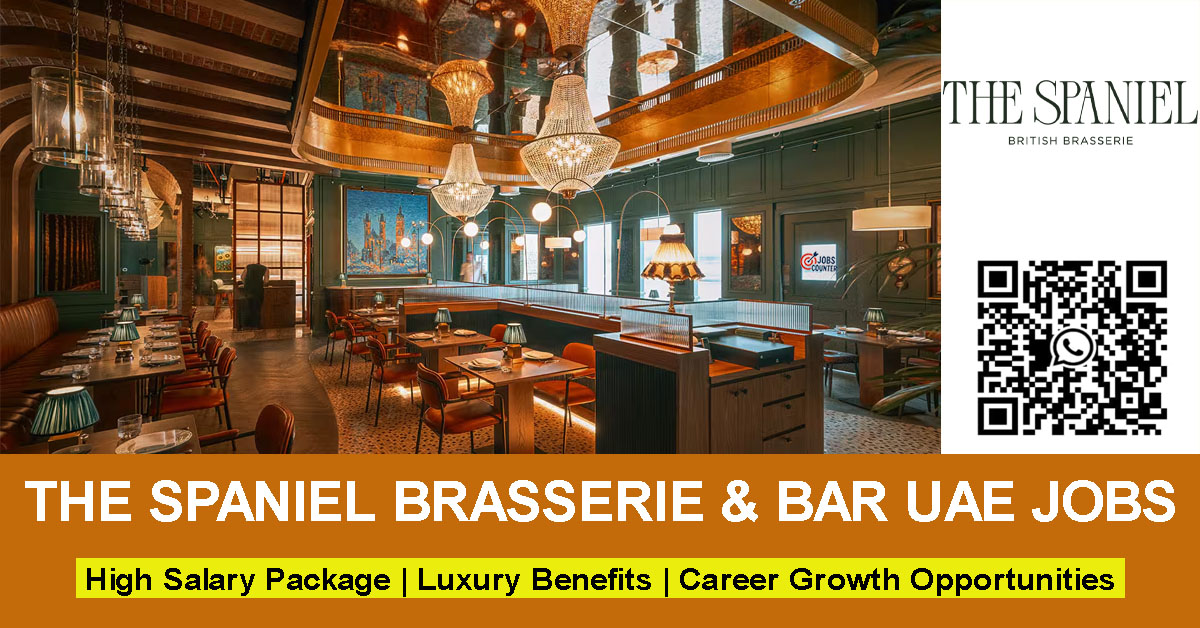 Searching for The Spaniel careers, bar jobs Dubai, hospitality jobs UAE, restaurant jobs, F&B vacancies Dubai, host/hostess jobs, Waiter/waitress jobs, Receptionist jobs, Events Executive jobs, or accounting & finance jobs in Dubai? Apply now for The Spaniel Brasserie & Bar Careers 2026.